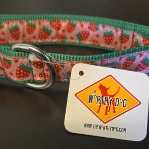 The Worthy Dog Strawberry Print Dog Collar in Green and Pink Size Large